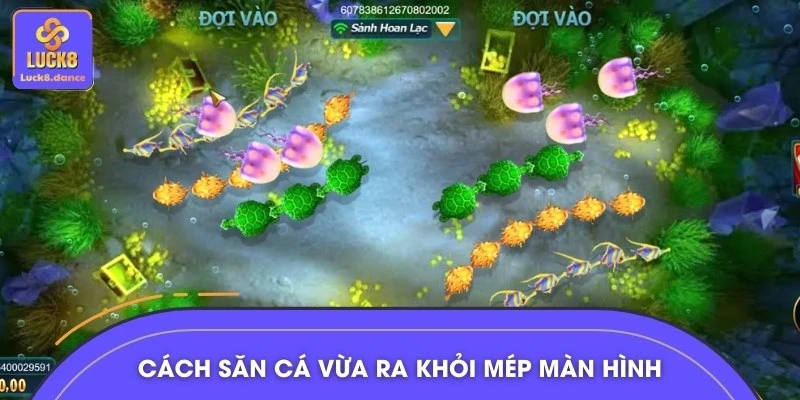 Bạn nên Bắn Cá ăn xu khi chúng vừa bơi khỏi màn hình