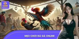 Mẹo Chơi Đá Gà Online – Nâng Cấp Kỹ Năng, Cải Thiện Kết Quả